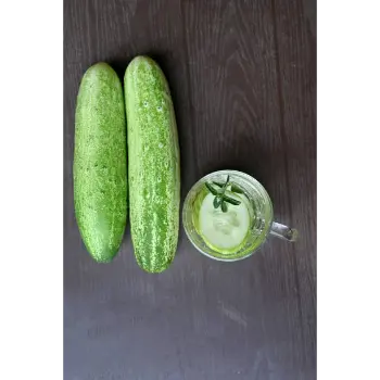 cucumber (17)-5916158-29262.webp